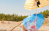 Туры в отель Gitavillage Le Marze