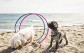 Туры в отель Gitavillage Le Marze