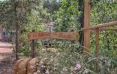 Туры в отель Gitavillage Le Marze