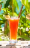 Туры в отель Gili Meno Escape - Adults Only