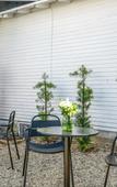 Туры в отель Aliza Hotel