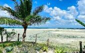 Туры в отель Maharaja Boutique Hotel Zanzibar
