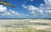 Туры в отель Maharaja Boutique Hotel Zanzibar