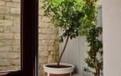 Туры в отель Maison Soleil