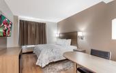 Туры в отель Red Roof Inn PLUS+ Jamaica, NY – JFK Airport