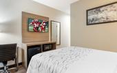 Туры в отель Red Roof Inn PLUS+ Jamaica, NY – JFK Airport