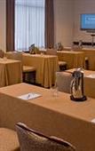 Туры в отель Hyatt Regency Lisle near Naperville