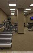 Туры в отель Hyatt Regency Lisle near Naperville