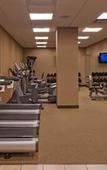 Туры в отель Hyatt Regency Lisle near Naperville