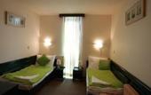 Туры в отель Hotel - Restaurant Vadvirag