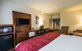 Туры в отель Comfort Suites Miami - Kendall