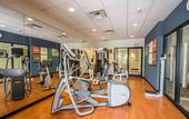 Туры в отель Comfort Suites Miami - Kendall