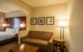 Туры в отель Comfort Suites Miami - Kendall