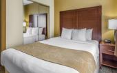 Туры в отель Comfort Suites Tamarac Sawgrass
