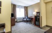 Туры в отель Comfort Suites Tamarac Sawgrass