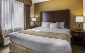 Туры в отель Comfort Suites Tamarac Sawgrass
