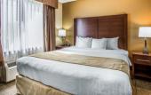Туры в отель Comfort Suites Tamarac Sawgrass