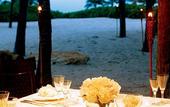 Туры в отель Lago Mar Beach Resort & Club