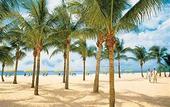 Туры в отель Lago Mar Beach Resort & Club