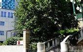 Туры в отель Strudlhof Hotel & Palais
