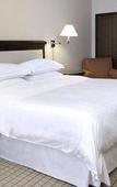 Туры в отель Sheraton Stonebriar Hotel