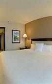 Туры в отель Sheraton Stonebriar Hotel