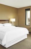 Туры в отель Sheraton Stonebriar Hotel