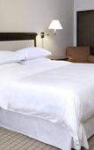Туры в отель Sheraton Stonebriar Hotel