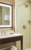 Туры в отель Sheraton Stonebriar Hotel