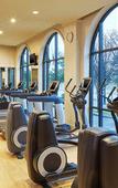 Туры в отель Sheraton Stonebriar Hotel