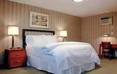 Туры в отель 7 Springs Inn & Suites