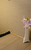 Туры в отель Hotel Nikko Fukuoka