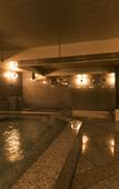 Туры в отель Hotel Nikko Fukuoka