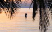 Туры в отель Tango Luxe Beach Villa Samui