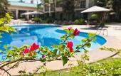Туры в отель Hotel Panamby Guarulhos