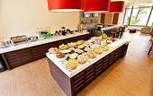 Туры в отель Hotel Panamby Guarulhos