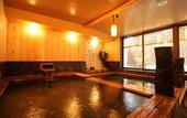 Туры в отель Dormy Inn Sapporo Annex Hot Spring