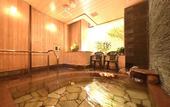 Туры в отель Dormy Inn Sapporo Annex Hot Spring