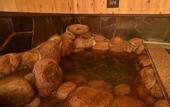 Туры в отель Dormy Inn Sapporo Annex Hot Spring