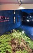 Туры в отель Fiesta Inn Express Naucalpan