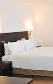 Туры в отель Fiesta Inn Express Naucalpan