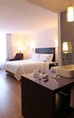 Туры в отель Fiesta Inn Express Naucalpan