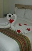 Туры в отель Seven Crown Express & Suites by Kavia
