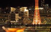 Туры в отель Kobe MerikenPark Oriental Hotel