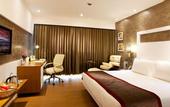 Туры в отель Park Inn by Radisson Navi Mumbai