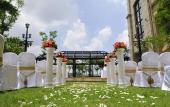 Туры в отель The COLI Hotel Shenzhen