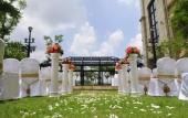 Туры в отель The COLI Hotel Shenzhen
