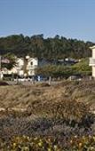 Туры в отель Pelican Inn & Suites