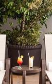 Туры в отель Presidente InterContinental Guadalajara by IHG