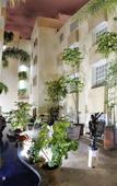 Туры в отель European Life Style Executive Suites & Gallery